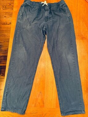 Iron and Resin DRIFTER Drawstring Chino Pants Blue size 32 relaxed vibes
